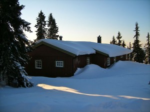 Cabin covered in snow surrounded by trees