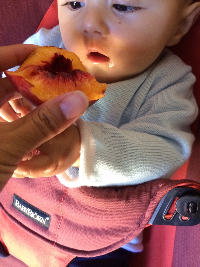 Baby licking nectarine