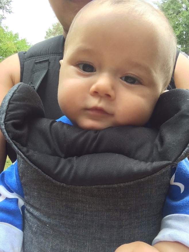 Baby in a front facing carrier