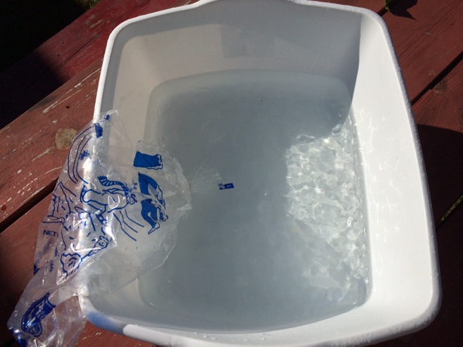 Bucket of ice water