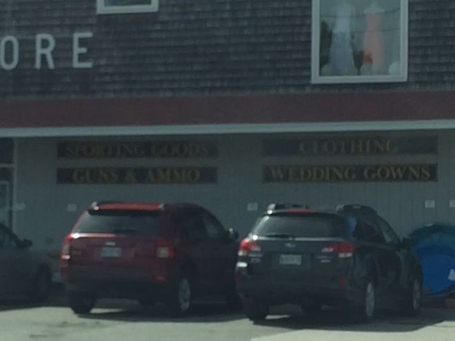 Store that sells wedding dresses, guns and ammo