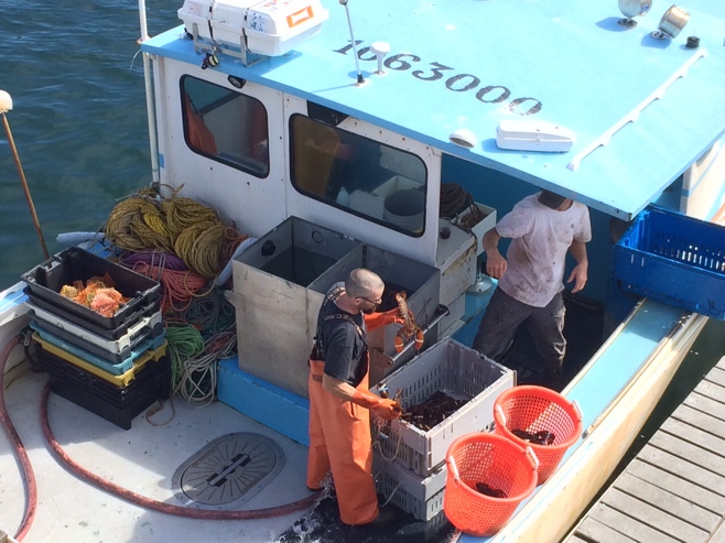 Two lobstermen with lobster catch in boat