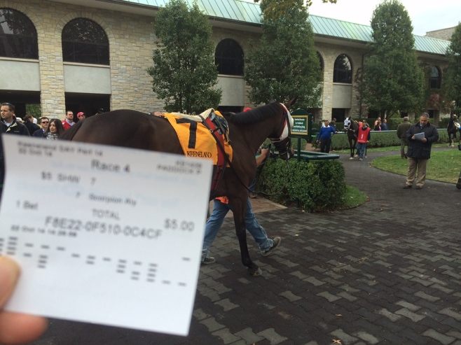 Betting ticket and horse