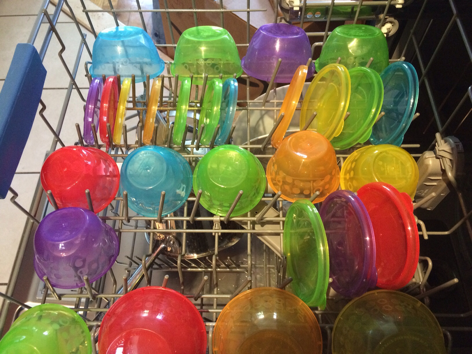 Colored containers in dishwasher